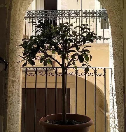 Couette-café Casa D'alleri 3*