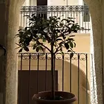 Casa D'alleri Bed & Breakfast 4*