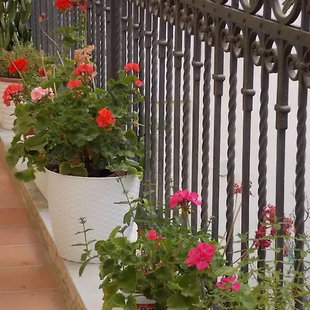 Bed & Breakfast Casa D'alleri